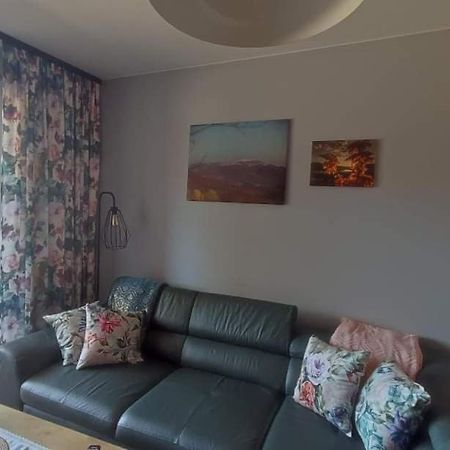 Lux Apartament Odkryj - Bieszczady Ustrzyki Dolne Kültér fotó