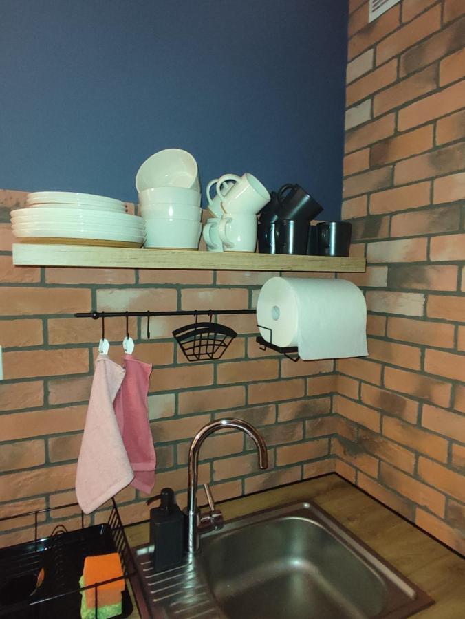 Lux Apartament Odkryj - Bieszczady Ustrzyki Dolne Kültér fotó