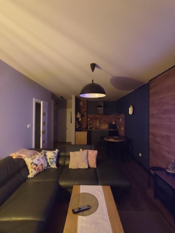 Lux Apartament Odkryj - Bieszczady Ustrzyki Dolne Kültér fotó